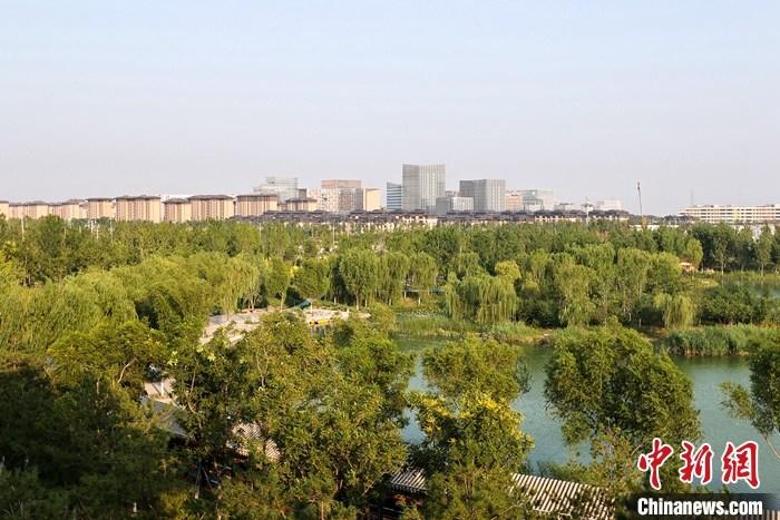 從完成頂層設(shè)計(jì)到如火如荼大規(guī)模建設(shè)，六年來，雄安新區(qū)如春天的竹子一般拔節(jié)生長，這座承載千年大計(jì)的“未來之城”已雄姿初顯。從“一張白紙”開始著墨，如今的雄安新區(qū)已是濃墨重彩的“山水畫”。<a target='_blank' href='/'>中新社</a>記者近日走訪了雄安新區(qū)多地，從“藍(lán)綠金”三色感受這座“未來之城”的巨大變化。圖為7月18日拍攝的河北雄安新區(qū)金湖公園。 <a target='_blank' href='/'>中新社</a>記者 易海菲 攝