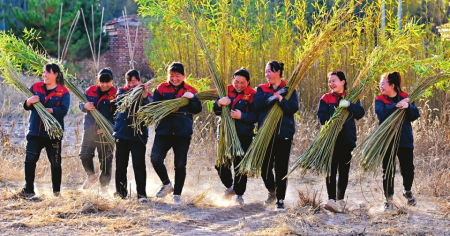點擊放大