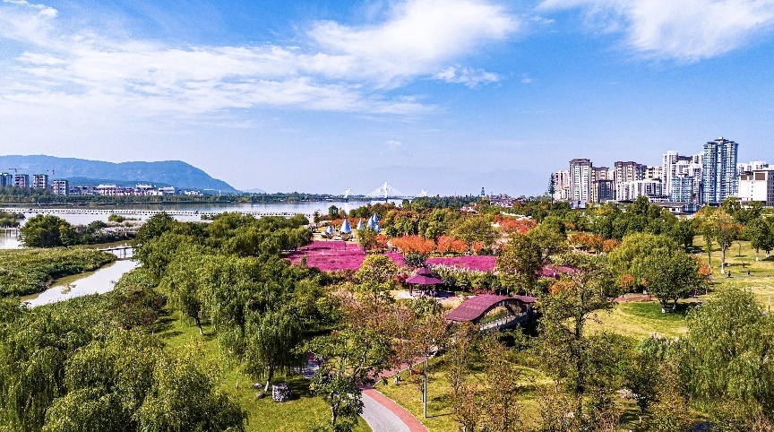步入公園，仿佛走進“色彩的世界”。王淦攝（資料圖片）