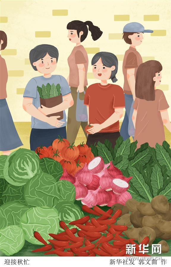 （圖表·插畫）［二十四節(jié)氣·立秋］迎接秋忙