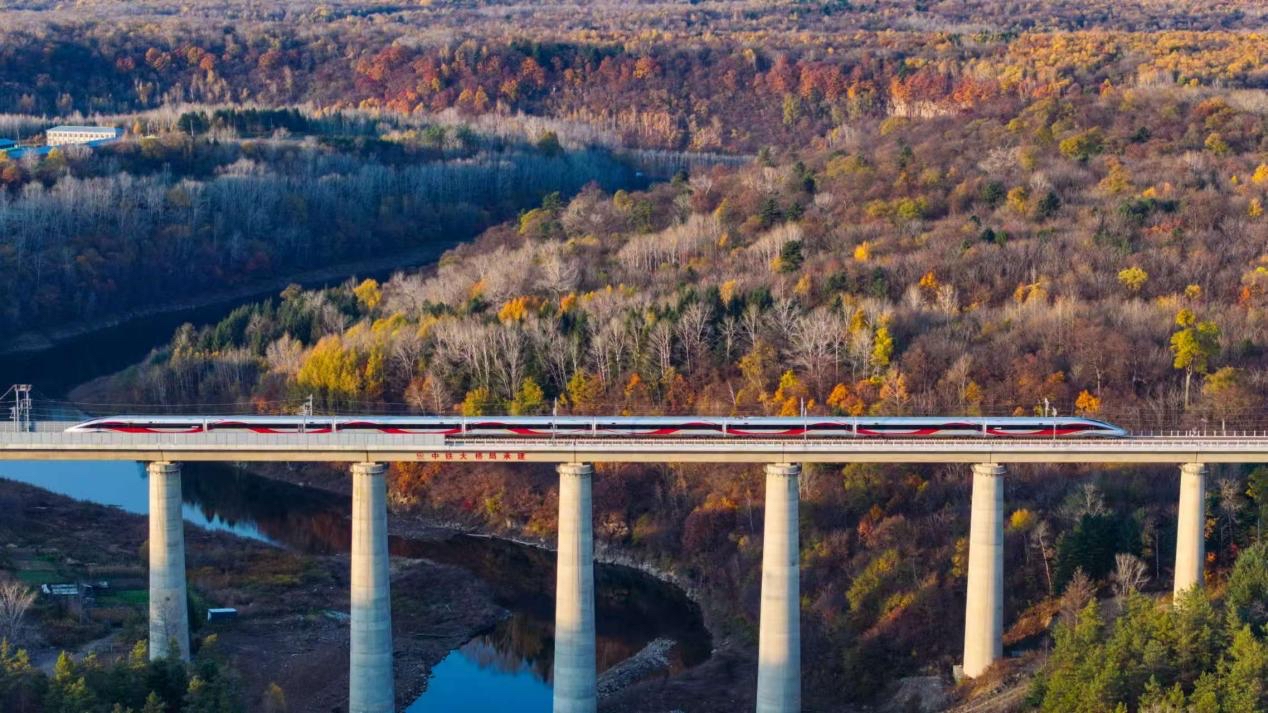 沈白高鐵正式開通運(yùn)營。受訪方供圖