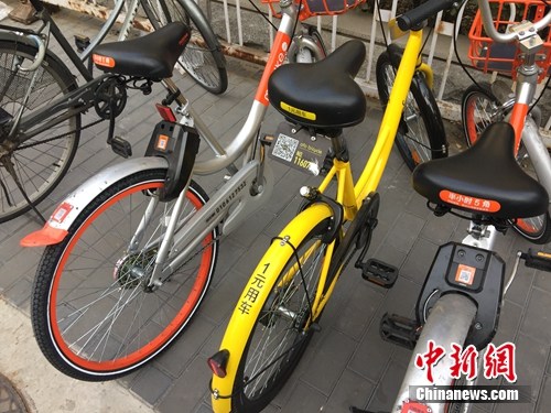 資料圖。某輛共享單車號碼被損。<a target='_blank'  _fcksavedurl='http://www.chinanews.com/' ></table>中新網(wǎng)</a> 吳濤 攝